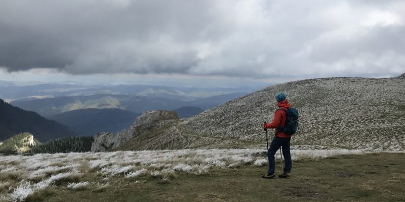 image5-e1539861931707-925×400