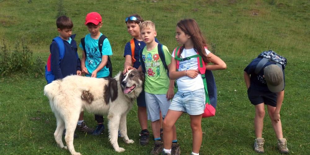 0011Excursie_Himalaya-Adventure_Uriasi-1-_2015