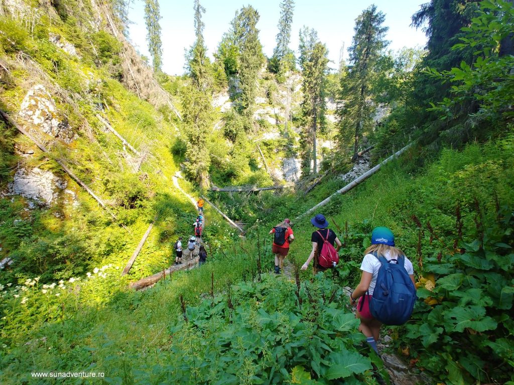 Tabere de vară pentru copii anul 2025