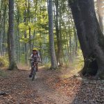 Tabara Bunesti copii - Sun Adventure- Bike Check Inn Tabara la Bunesti - Sun Adventure