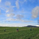 Tabara prescolari de vara - Sun Adventure